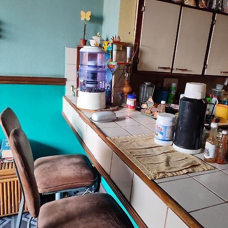 The Cozy Cactus House B&B Cartago Centro English Spoken Экстерьер фото